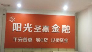 福建省莆田陽光圣嘉金融服務(wù)外包公司 專業(yè)金融外包服務(wù)的領(lǐng)航者