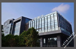 上海金融谷 外包經濟之園，金融產業之谷